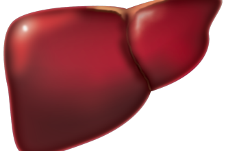 Julia Cember-Ogorzałek