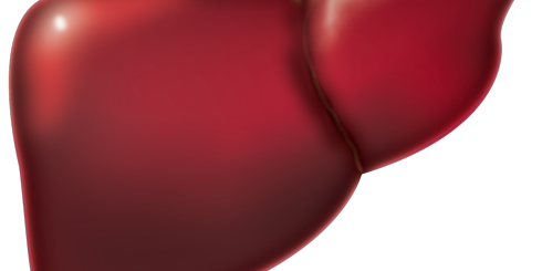 Dieta wątrobowa. Co jeść, kiedy wątroba choruje?