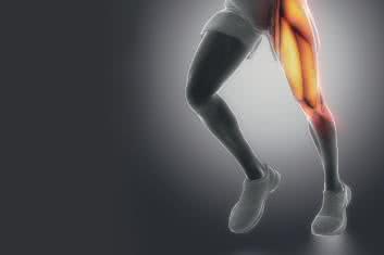 Zerwanie ścięgien w okolicy biodra i uda – diagnostyka i terapia 