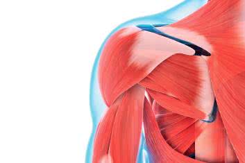 Terapia przykurczów tkanki łącznej w stawach na przykładzie barku zamrożonego 