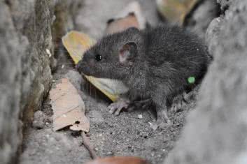 Autyzm pod kontrolą