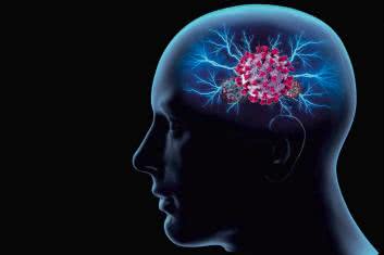 Jak mikroby mieszają w mózgu?