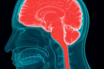 Fizjoterapia w intensywnej opiece nad pacjentami z urazami czaszkowo-mózgowymi