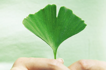 10 sposobów na szumy uszne