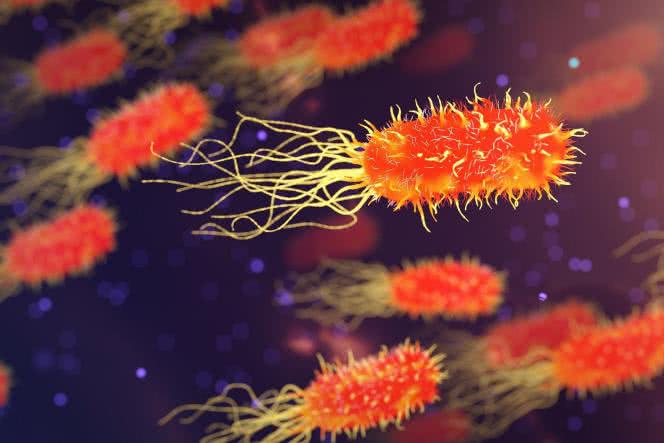 Wpływ mikroflory jelitowej na nowotwory - pomaga czy szkodzi?