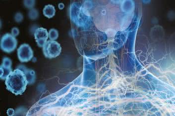 Jak odciąć prąd rakowi