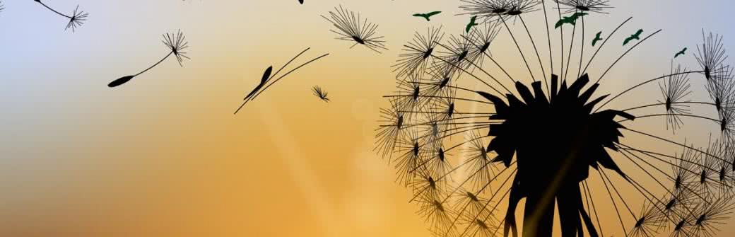 Czym jest alergia krzyżowa? Jakie alergeny mogą ją wywoływać?