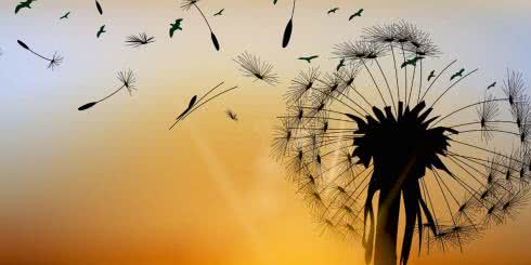 Czym jest alergia krzyżowa? Jakie alergeny mogą ją wywoływać?