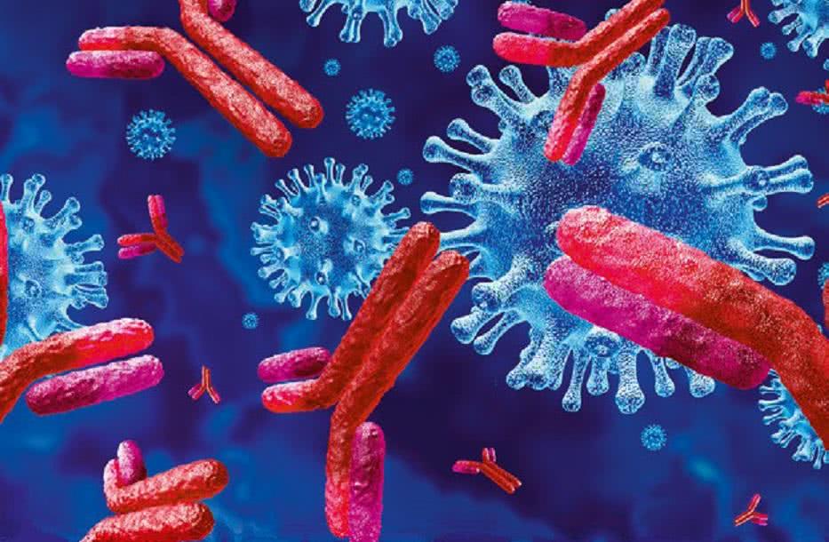 Komórki układu odpornościowego i wirusy