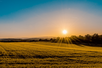 Jedz światło… i młodniej!