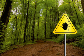 Nieznane choroby odkleszczowe