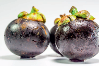 Kamila Makowska-Serkis