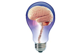 Jakie suplementy wspierają pracę mózgu?