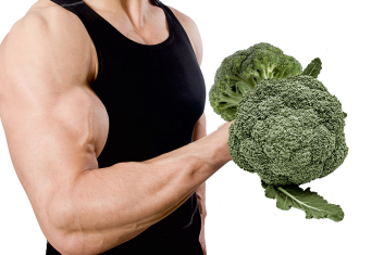 Mięśnie bez mięsa