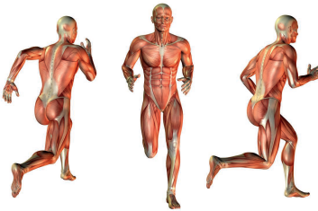 Kontrola motoryczna w dysfunkcjach mięśniowo-szkieletowych