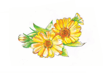 Naturalne leki przeciwhistaminowe