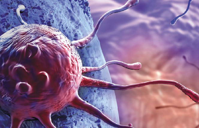 Czy można zahamować rozwój raka?