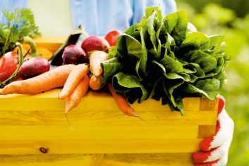 Jedzenie, które nie odżywia