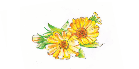 Naturalne leki przeciwhistaminowe