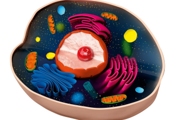 Niezwykłe elektrownie