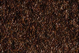 Julia Cember-Ogorzałek