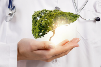 Wspieraj wątrobę – zyskasz odporność