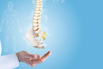 Kości z osteopatycznego punktu widzenia