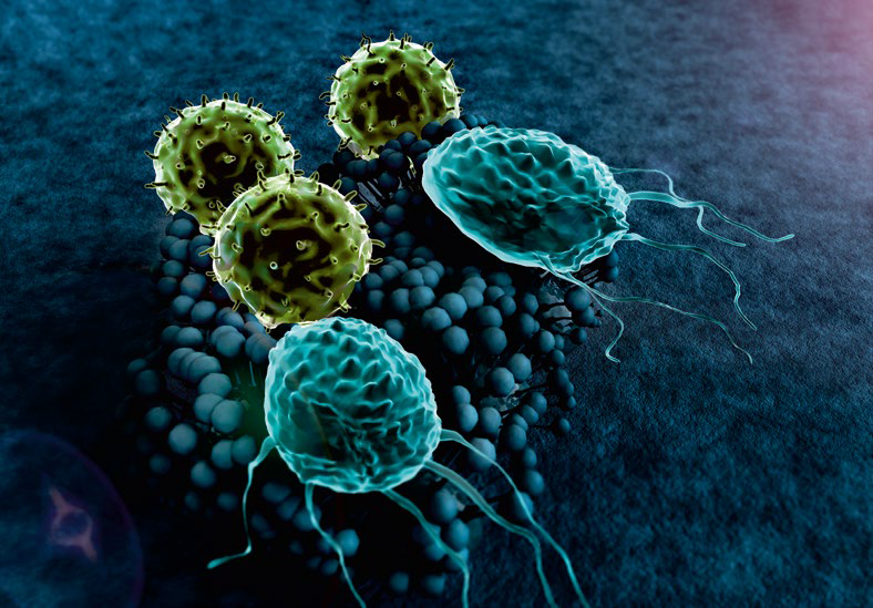 Komórki odpornościowe i wirusy