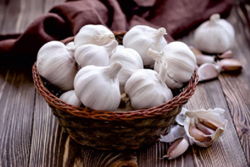 Czosnek pospolity (allium sativum)