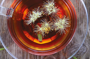 Zmień jedną rzecz: pij zieloną herbatę