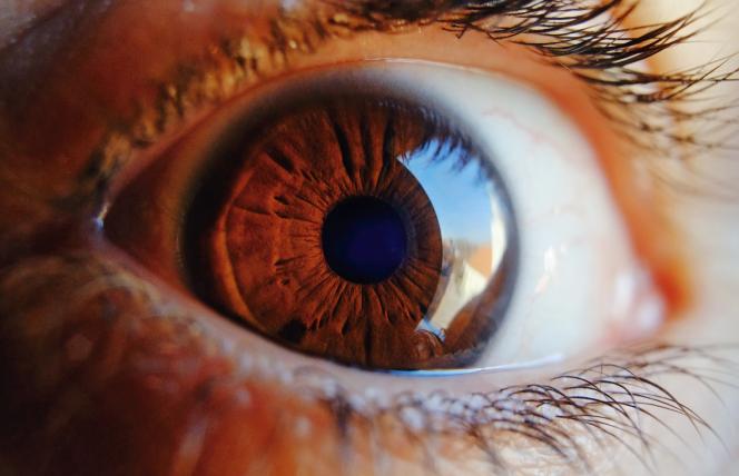 Nadwzroczność i krótkowzroczność — wady wzroku, dioptrie