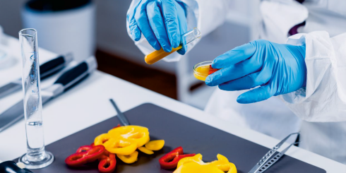 Czy chemia w produktach codziennego użytku może się przyczynić do rozwoju raka piersi?