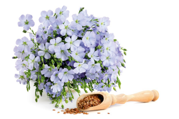 Weź cholesterol w karby