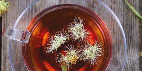 Dlaczego warto pić zieloną herbatę?