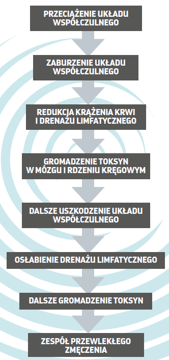 Spirala prowadząca do zespołu przewlekłego zmęczenia