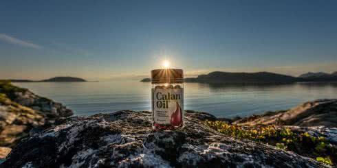 Widłonogi arktyczne jako nowe źródło kwasów omega-3 dla całej planety