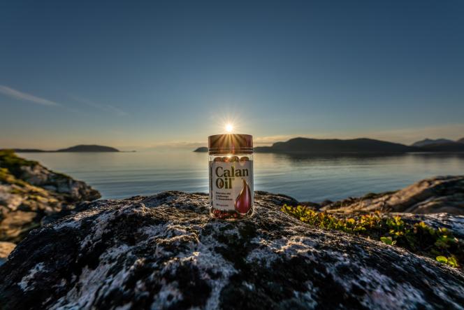 Widłonogi arktyczne jako nowe źródło kwasów omega-3 dla całej planety 