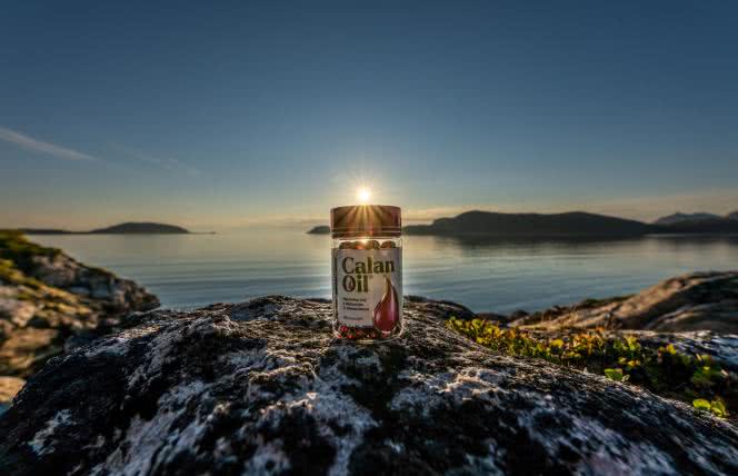 Widłonogi arktyczne jako nowe źródło kwasów omega-3 dla całej planety 