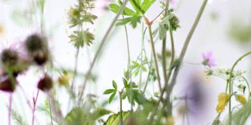 8 naturalnych i skutecznych sposobów na mdłości