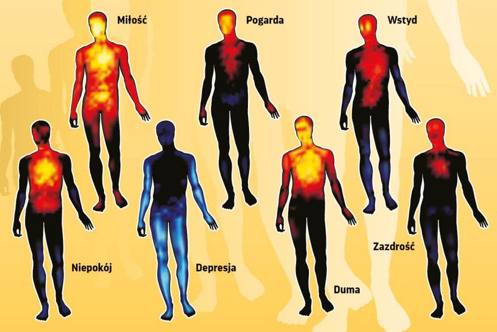 Gdzie W Ludzkim Ciele Znajduj Si Emocje Oczymlekarze pl