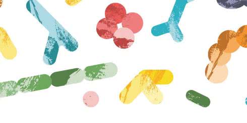 Dobre bakterie chronią przed cukrzycą - miej zdrowy mikrobiom!