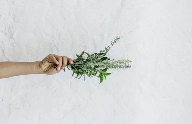 Jakie zioła działają uspokajająco, antydepresyjnie i poprawiają sen?