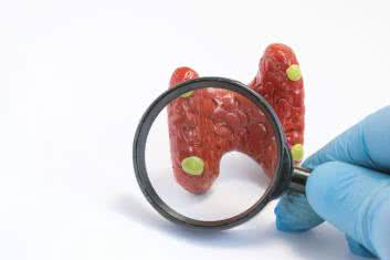 Przytarczyce – małe wielkie regulatory