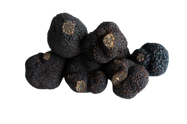 Czarne trufle