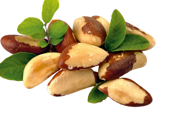 Orzechy brazylijskie