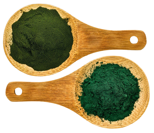 Spirulina