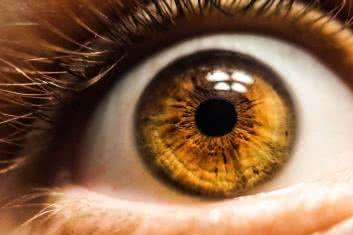 Jak C(i) się to widzi?