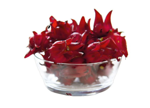 Ketmia_szczawiowa__Hibiscus_sabdariffa