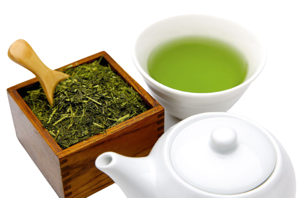Zielona herbata