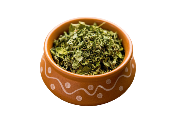 Kozieradka__Trigonella_foenum_graecum